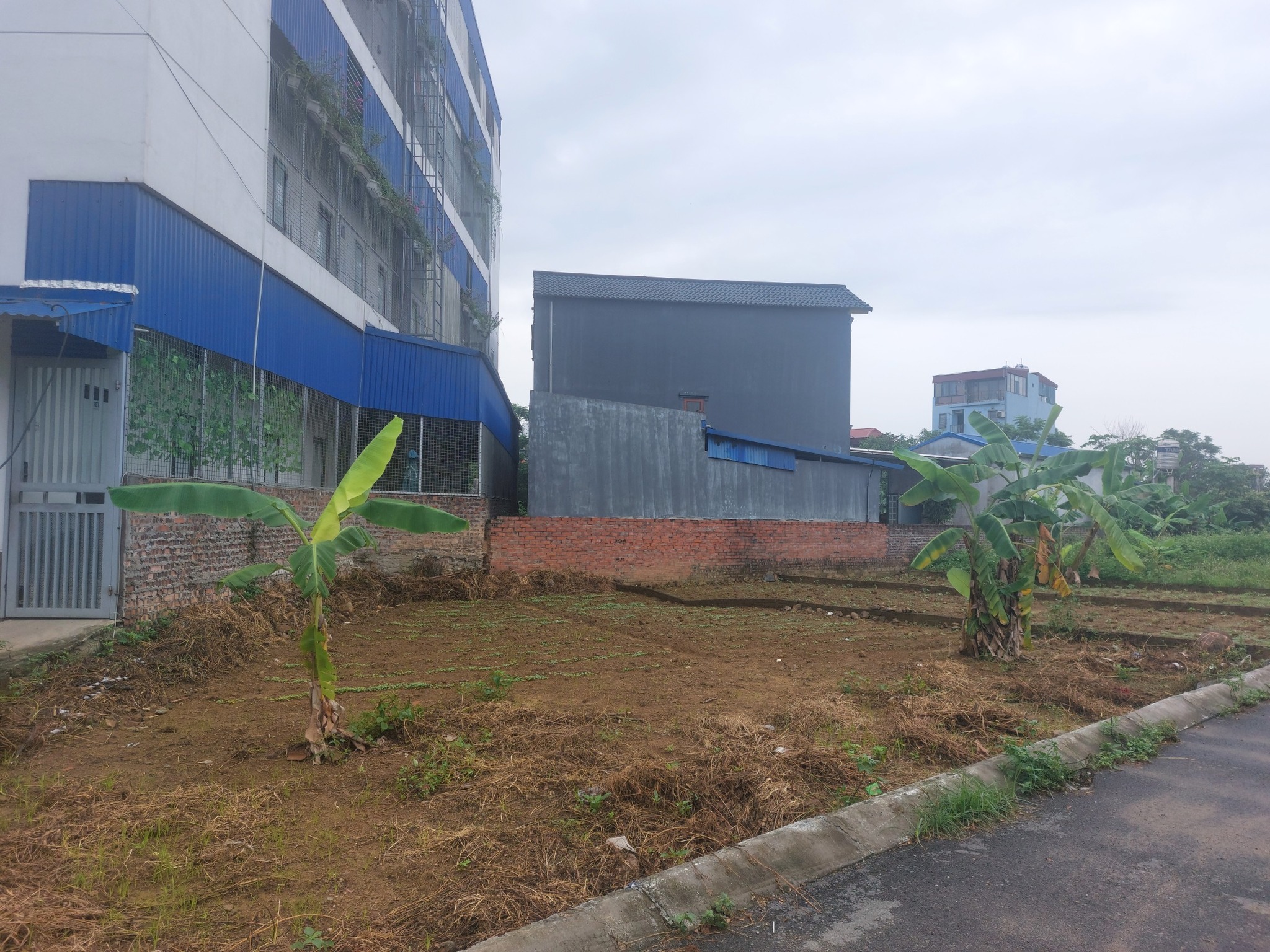 Đất nền Láng Hòa Lạc 100m2 giá 2.5 tỷ – gần trung tâm thương mại, giao thông thuận tiện  Nguyễn - Ảnh chính